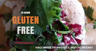 Is Casein Gluten Free? Understanding Dairy and Gluten Differences