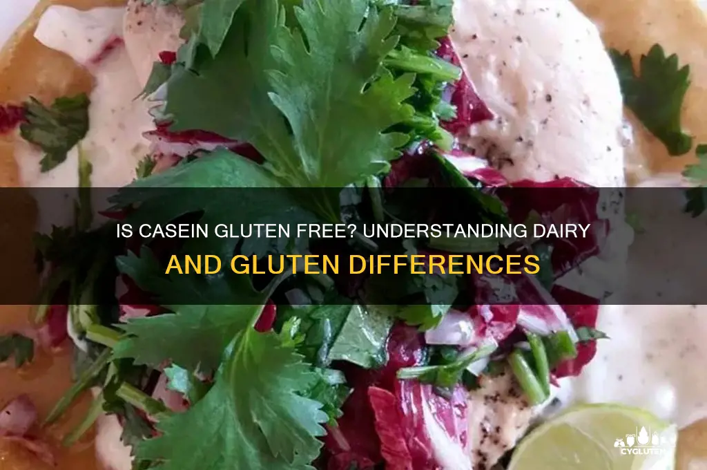is casein gluten free