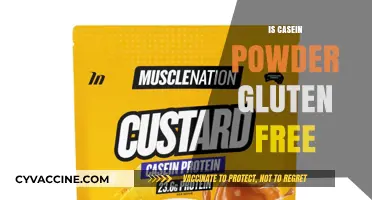 Exploring the Gluten-Free Status of Casein Powder: A Comprehensive Guide