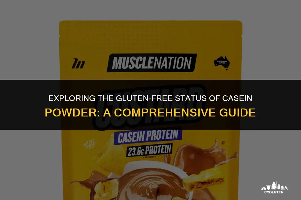 is casein powder gluten free