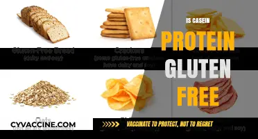 Exploring Casein Protein: A Gluten-Free Option for Your Diet