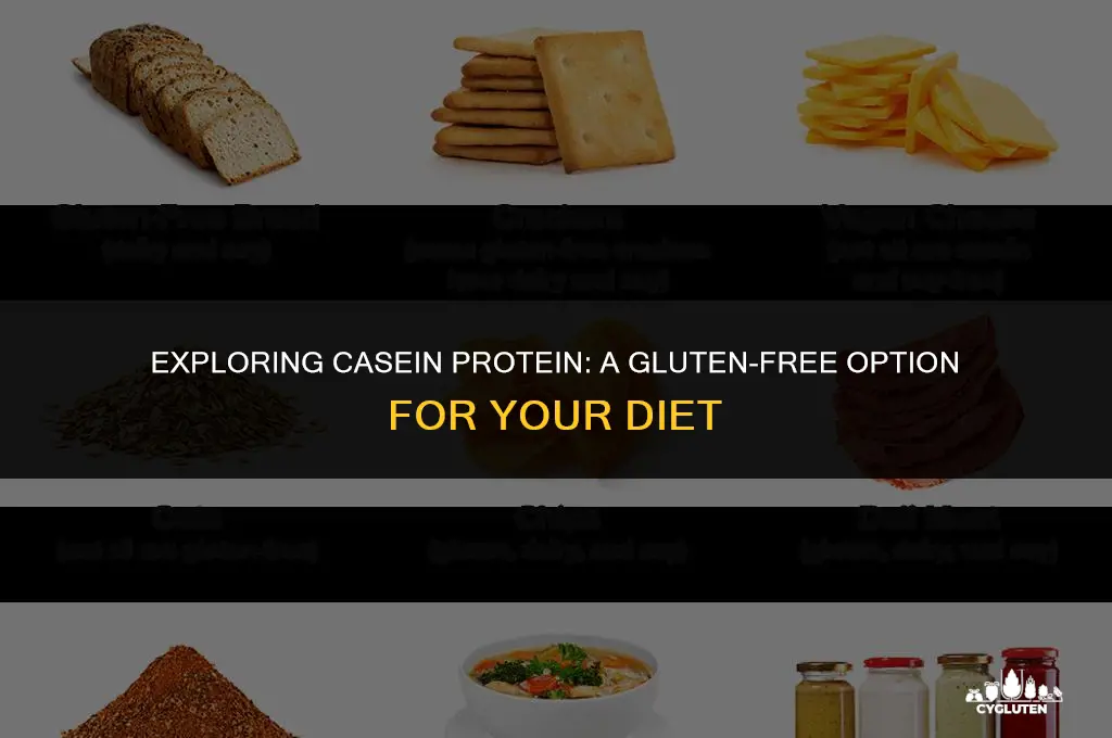 is casein protein gluten free