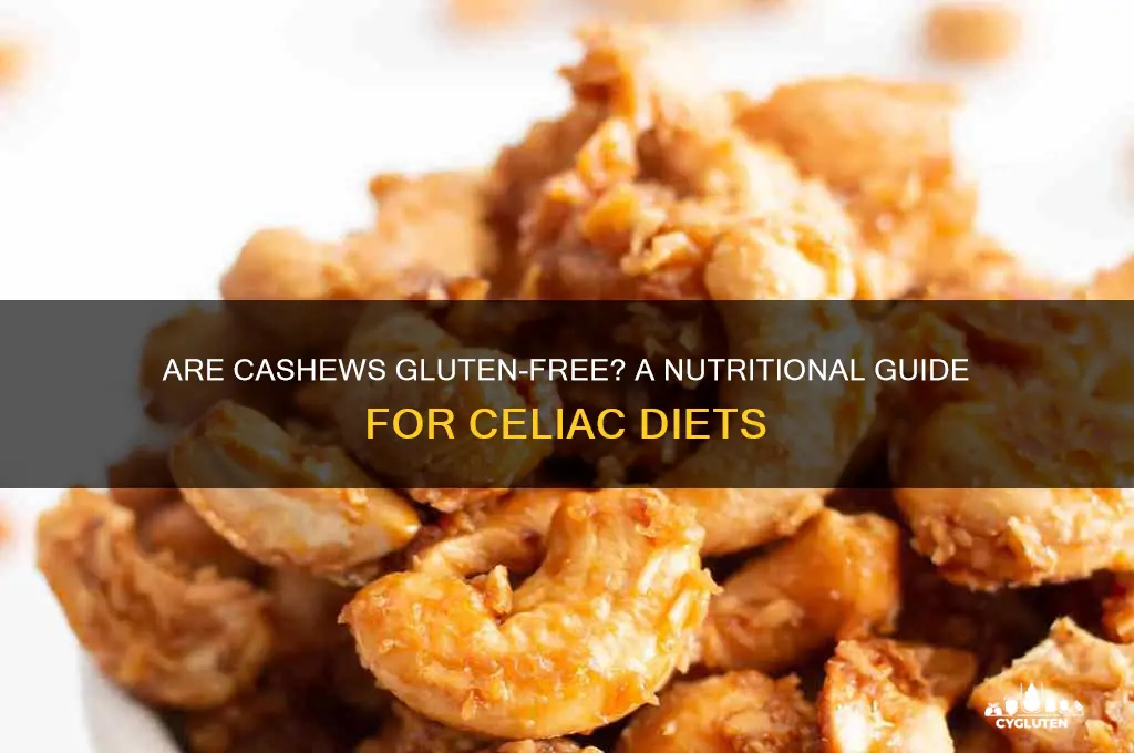 is cashew gluten free