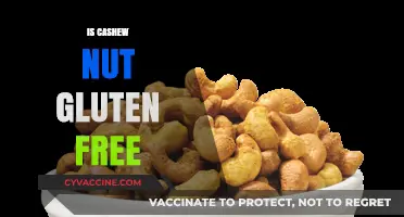 Exploring the Gluten-Free Status of Cashew Nuts: A Comprehensive Guide