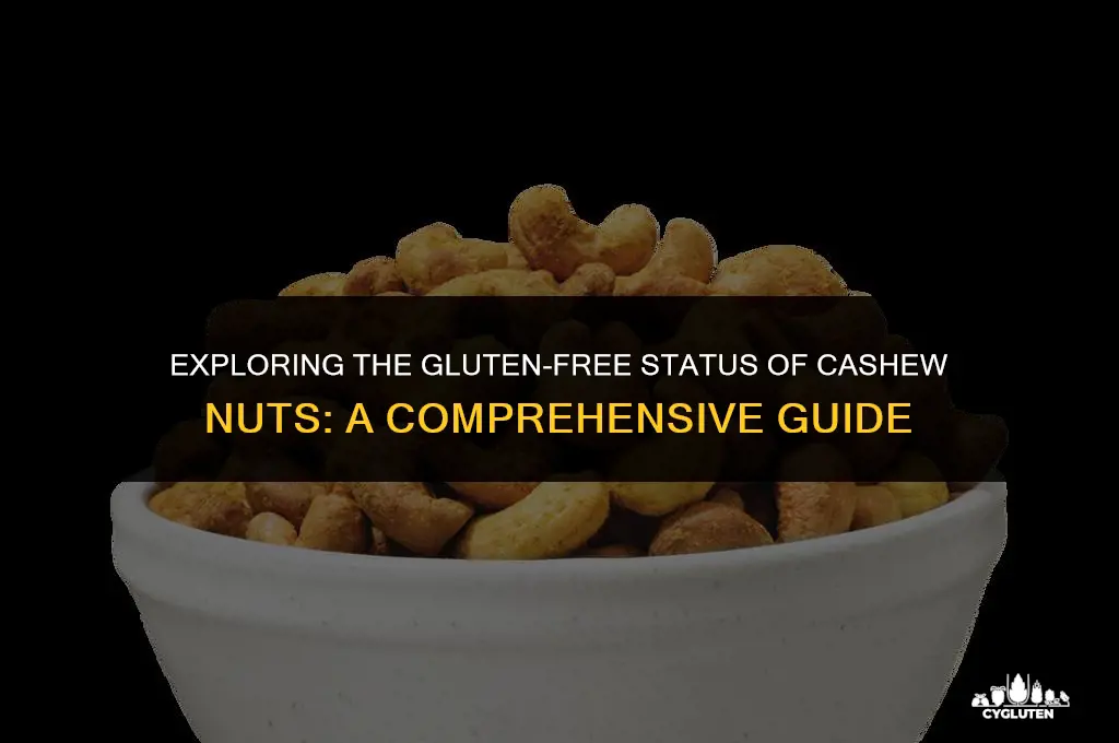 is cashew nut gluten free