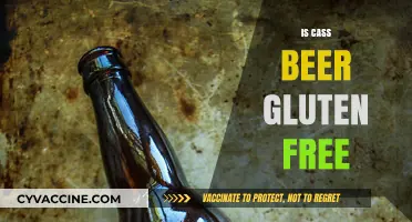 Exploring Gluten-Free Options: Is Cass Beer a Safe Choice?