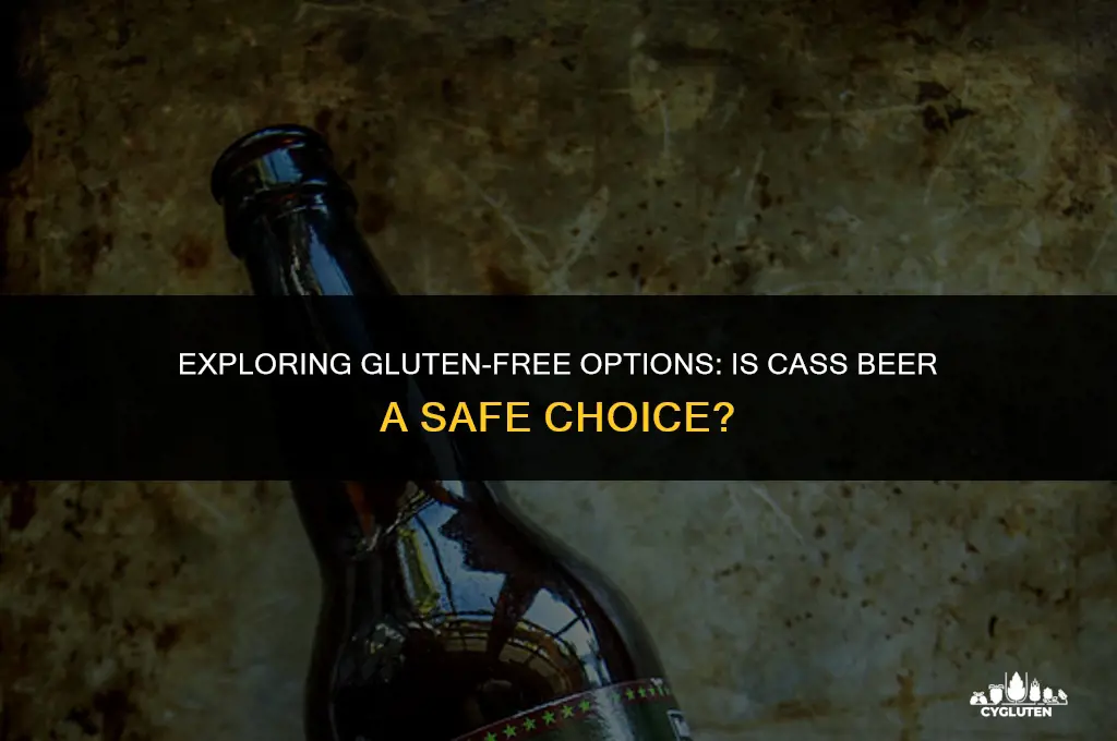 is cass beer gluten free