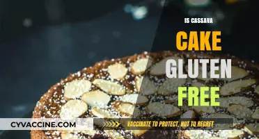 Deliciously Safe: Exploring the Gluten-Free Goodness of Cassava Cake