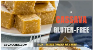 Is Cassava Gluten-Free? A Comprehensive Guide to This Root Vegetable