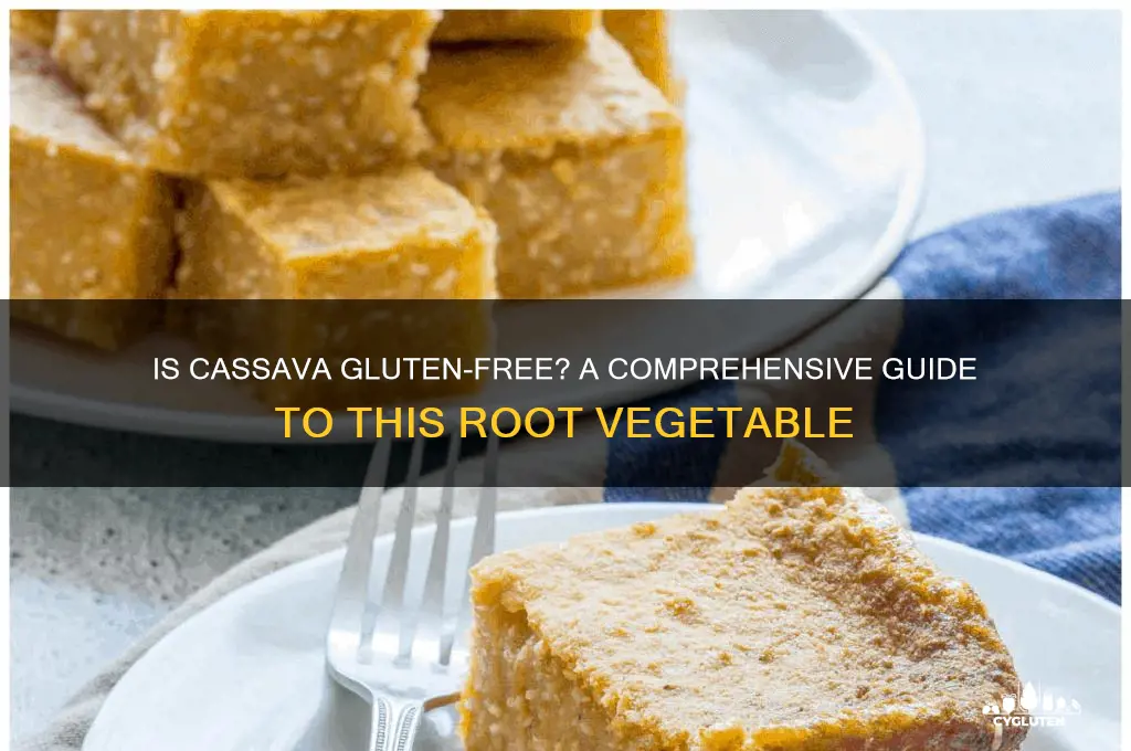 is cassava gluten-free