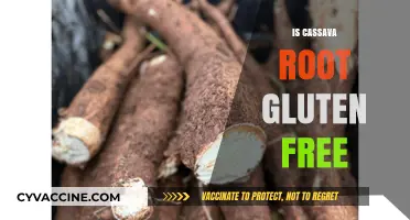 Exploring Cassava Root: A Gluten-Free Alternative for Your Diet