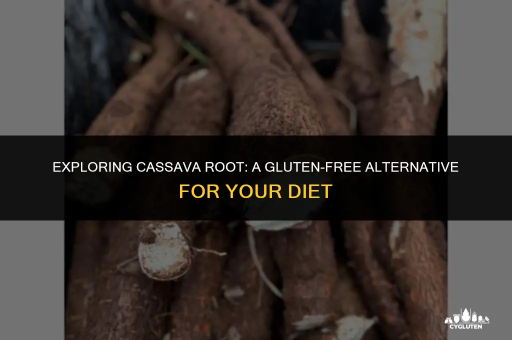 is cassava root gluten free