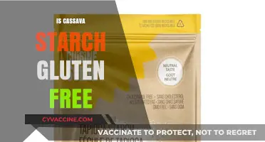 Exploring Cassava Starch: A Gluten-Free Alternative for Your Diet