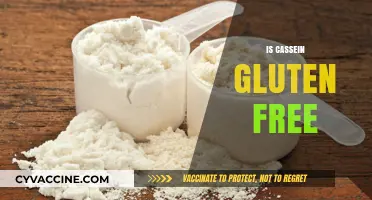 Is Casein Gluten-Free? Understanding Dairy and Gluten Connections