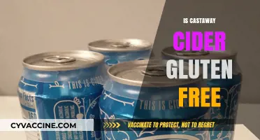 Savoring Castaway Cider: A Gluten-Free Delight for Your Taste Buds