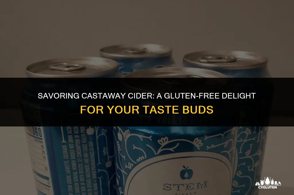 is castaway cider gluten free