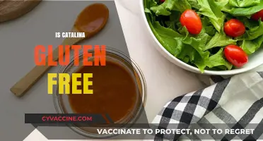 Is Catalina Gluten Free? Uncovering the Truth About This Dressing