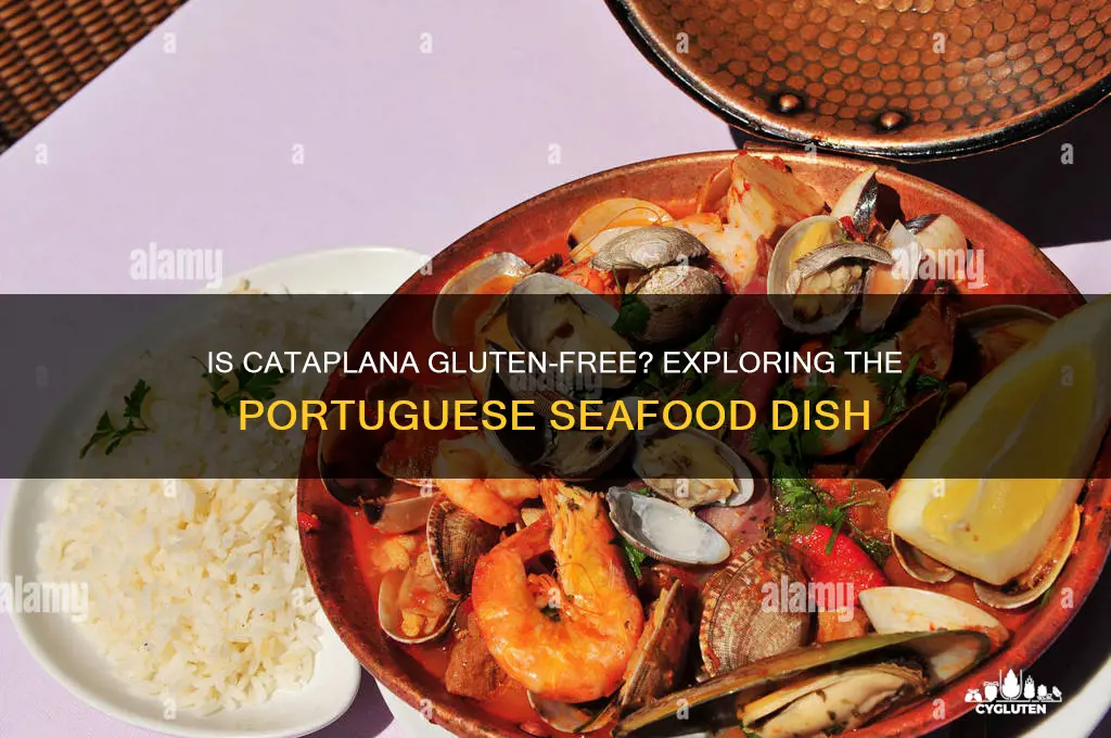 is cataplana gluten free