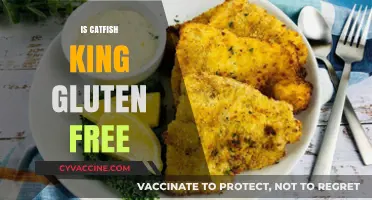 Exploring Gluten-Free Options: Is Catfish King Safe for Celiacs?