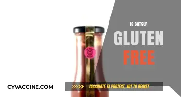 Is Catsup Gluten-Free? A Complete Guide for Celiac Sufferers