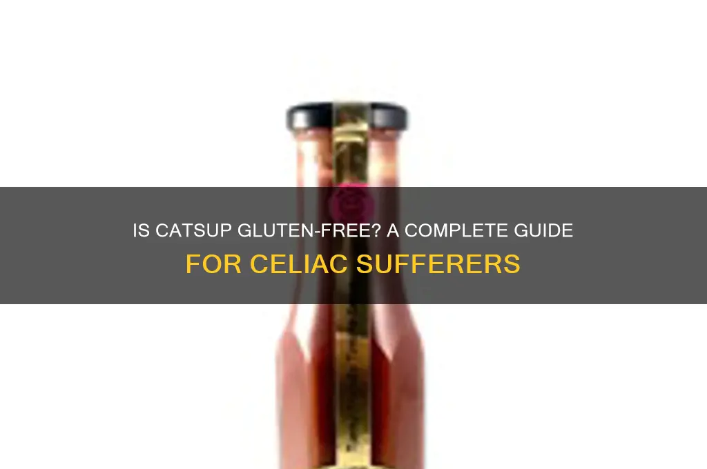 is catsup gluten free