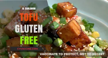 Savoring Safety: A Guide to Gluten-Free Cauldron Tofu Delights