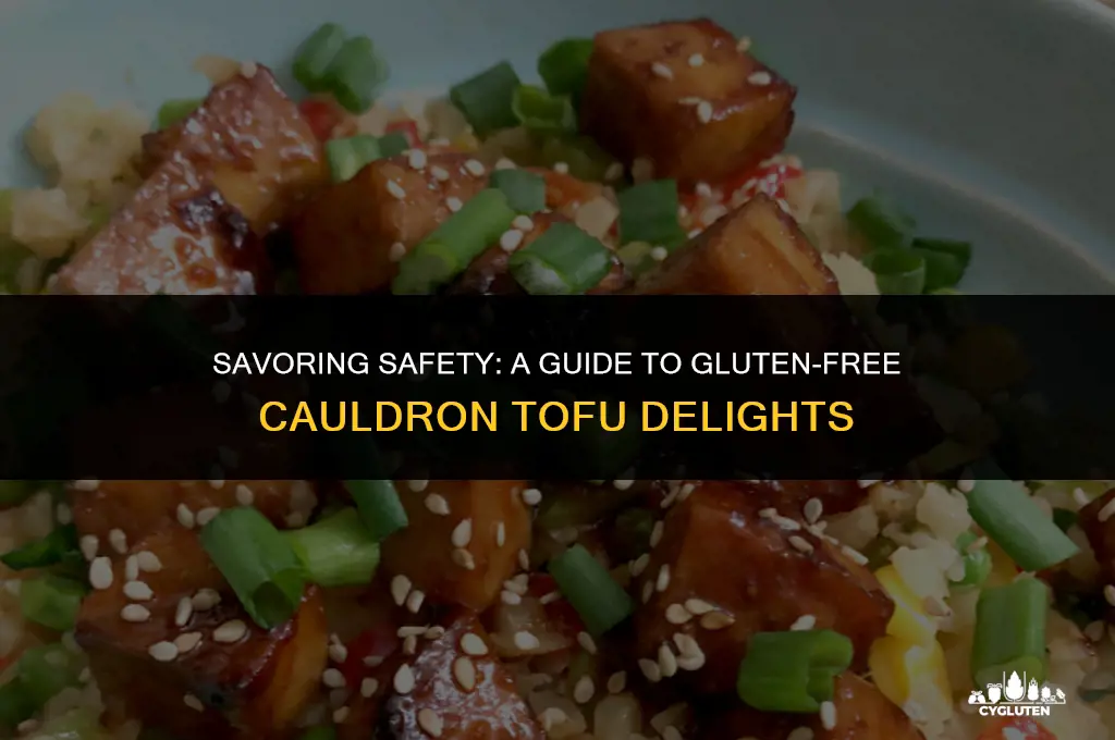 is cauldron tofu gluten free