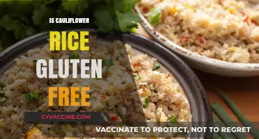 Is Cauliflower Rice Gluten-Free? A Complete Guide for Celiacs