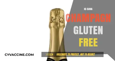 Unveiling the Truth: Is Cava Champagne Gluten-Free?