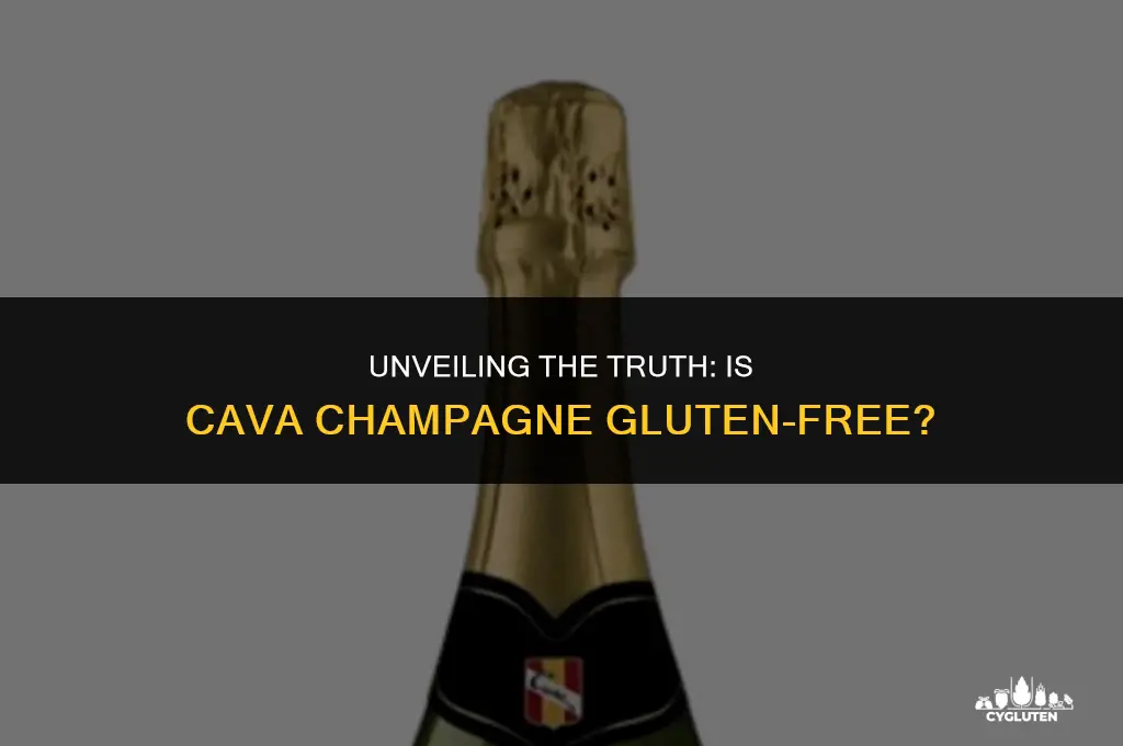 is cava champagne gluten free