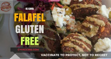 Is Cava Falafel Gluten-Free? A Complete Guide for Dietary Needs