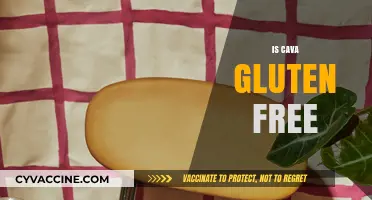 Is Cava Gluten-Free? A Complete Guide to Enjoying Cava Safely