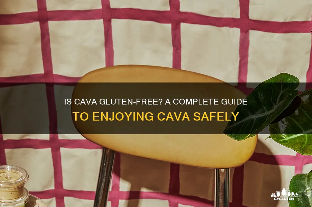 is cava gluten free