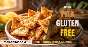 Exploring Gluten-Free Options: The Truth About Cava Pita Bread