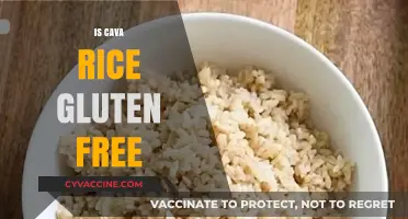 Exploring Gluten-Free Options: The Truth About Cava Rice