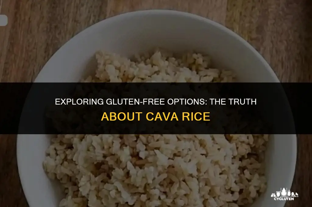 is cava rice gluten free
