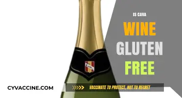 Uncorking the Truth: Is Cava Wine Gluten-Free?