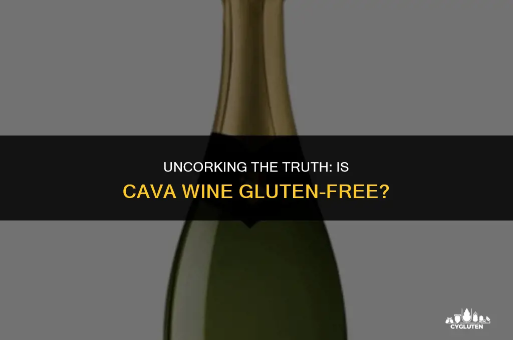 is cava wine gluten free