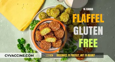Exploring Gluten-Free Options: The Truth About Cava's Falafel