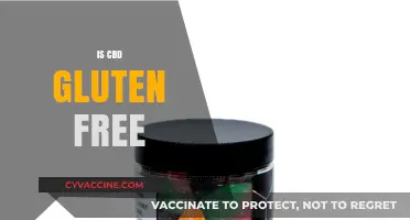 Is CBD Gluten-Free? Exploring the Facts for a Healthy Lifestyle