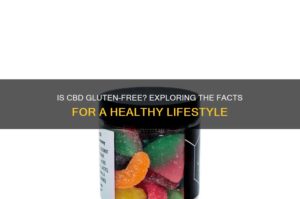is cbd gluten free