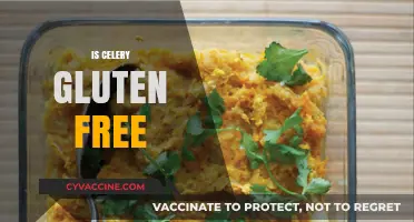Is Celery Gluten-Free? A Clear Answer for Your Diet