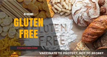 Is Celiac Disease Gluten-Free? Understanding the Essential Dietary Connection