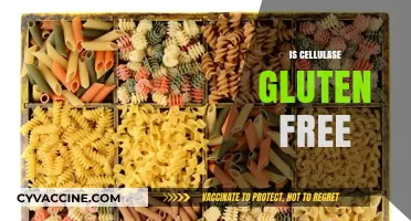 Is Cellulase Gluten Free? Understanding Enzyme Safety in Food