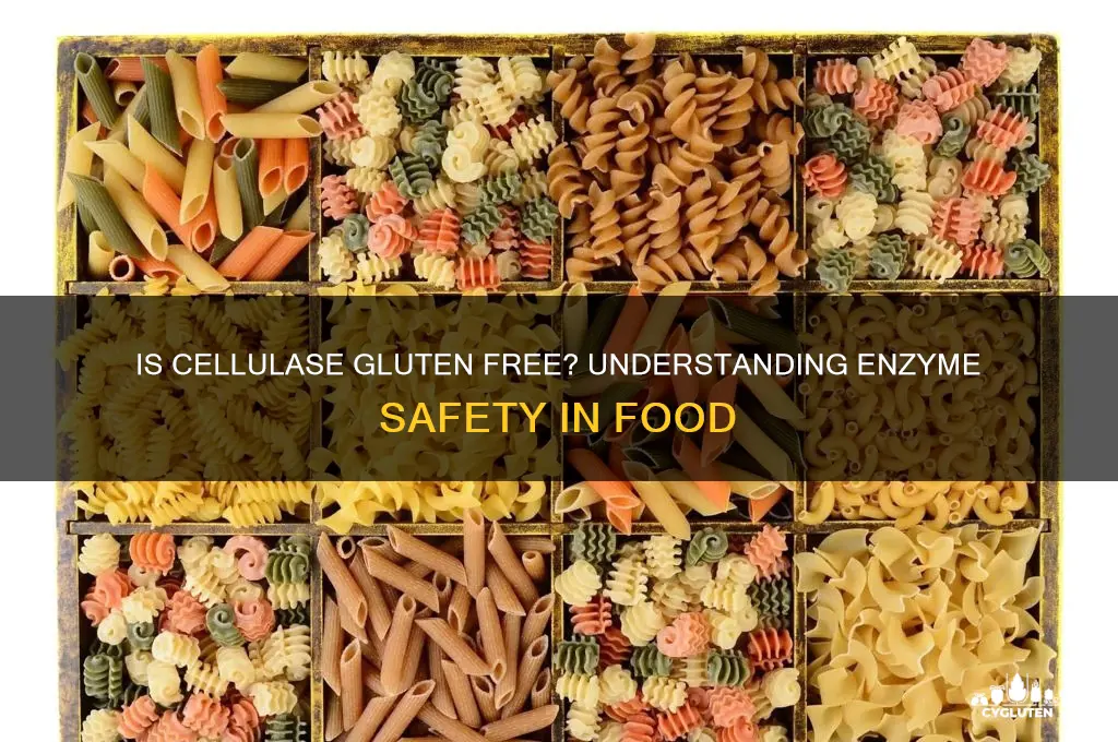 is cellulase gluten free