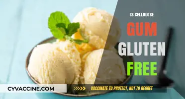 Is Cellulose Gum Gluten Free? A Comprehensive Guide for Dieters