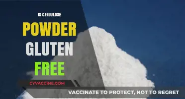 Is Cellulose Powder Gluten-Free? A Comprehensive Guide for Dietary Needs