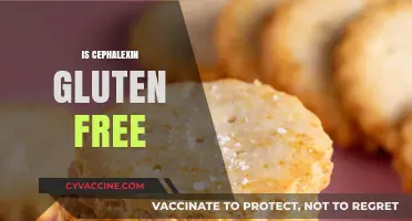 Is Cephalexin Gluten-Free? A Comprehensive Guide for Patients