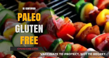 Certified Paleo vs. Gluten-Free: Understanding the Key Differences