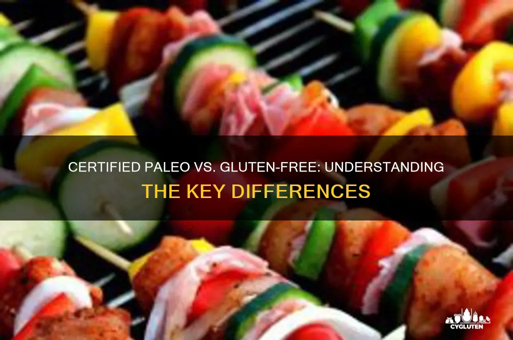 is certified paleo gluten free